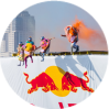 Nordic School на Red Bull Flugtag!